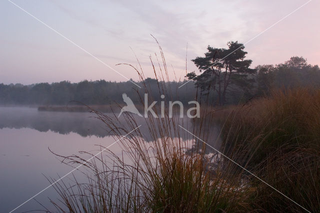 Boswachterij Staphorst