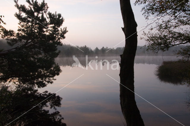 Boswachterij Staphorst