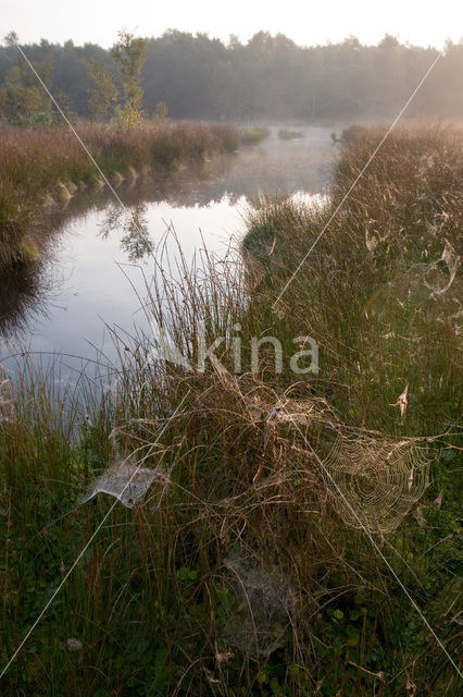 Boswachterij Staphorst