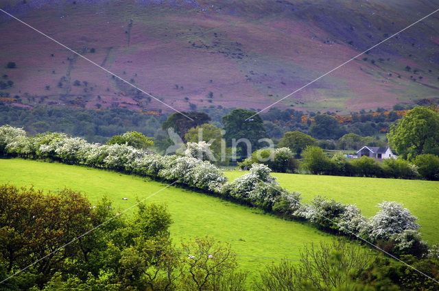 Brecon Beacons National Park