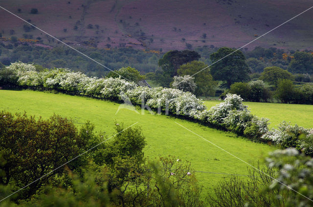 Brecon Beacons National Park