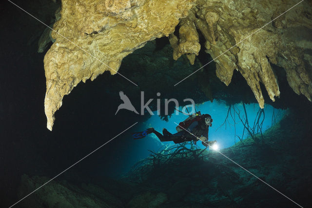 Car Wash Cenote