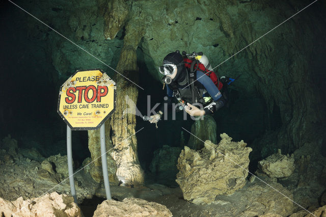 Car Wash Cenote