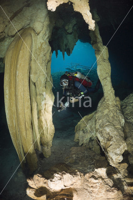 Car Wash Cenote