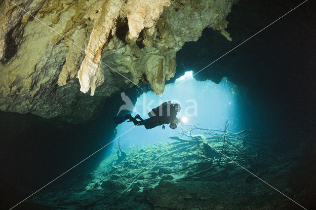 Car Wash Cenote