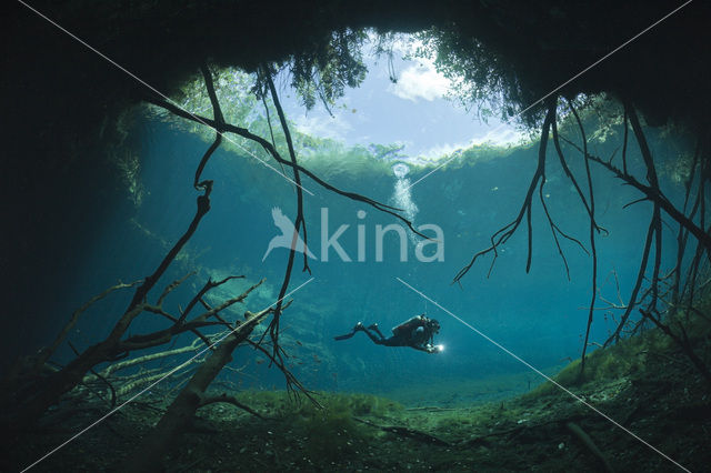 Car Wash Cenote