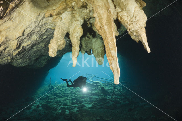 Car Wash Cenote