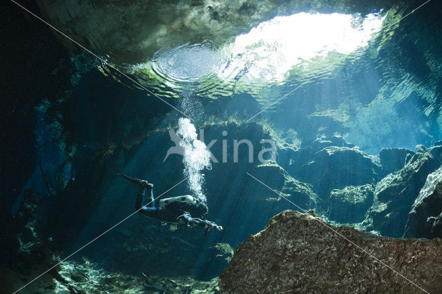 Chac Mool cenote