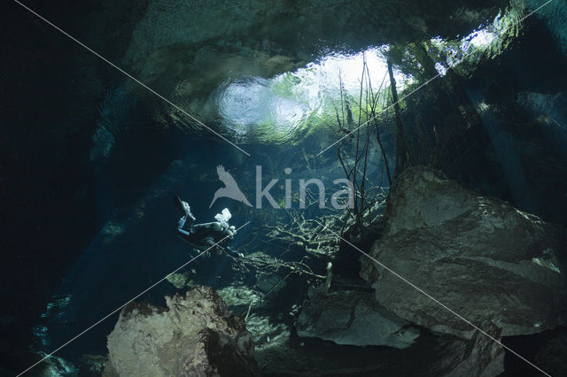 Chac Mool cenote