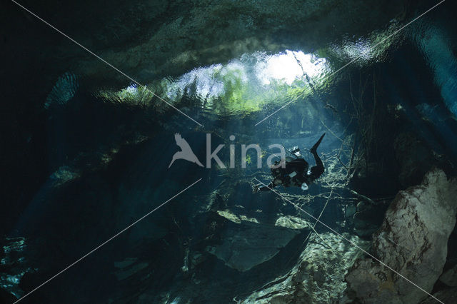 Chac Mool cenote