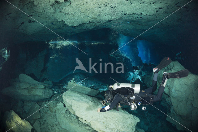 Chac Mool cenote