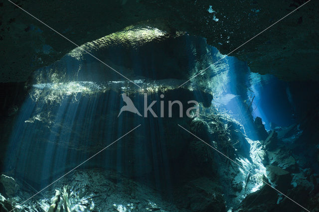 Chac Mool cenote