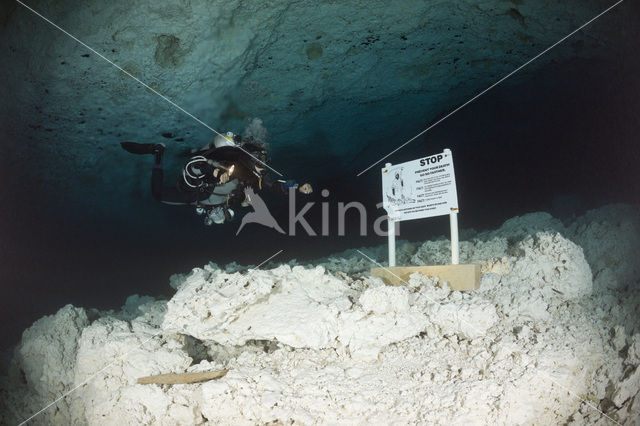 Chac Mool cenote