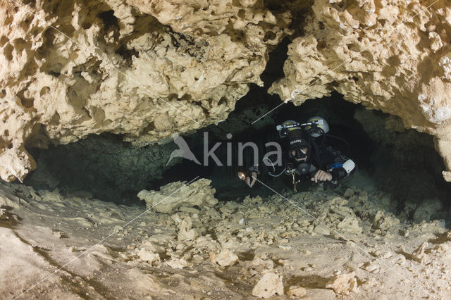 Chac Mool cenote