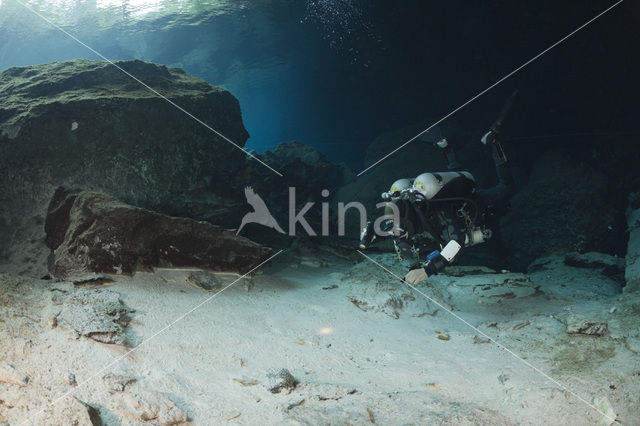 Chac Mool cenote