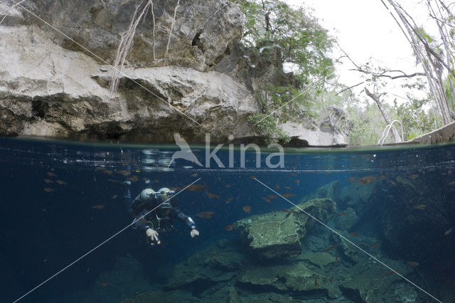 Chac Mool cenote