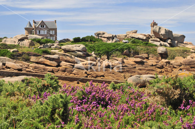 Côte de Granit Rose