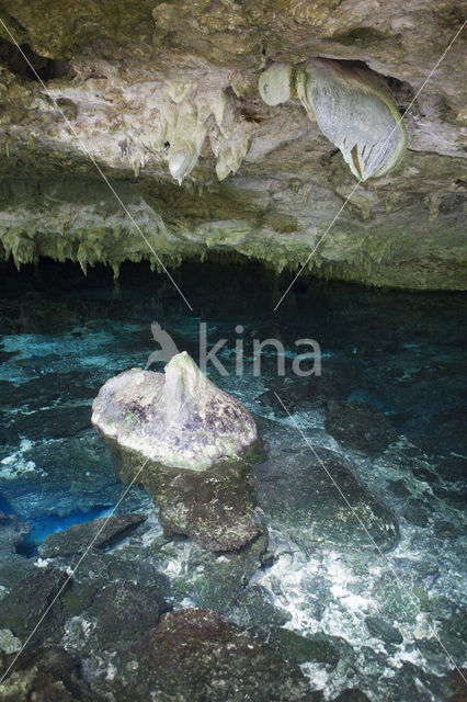 Dos Ojos Cenote