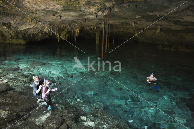 Dos Ojos Cenote