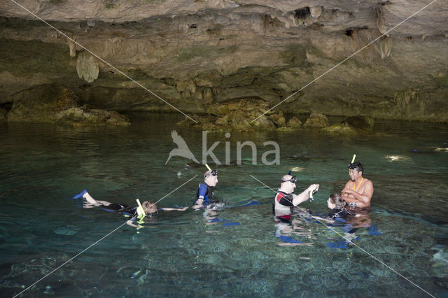 Dos Ojos Cenote