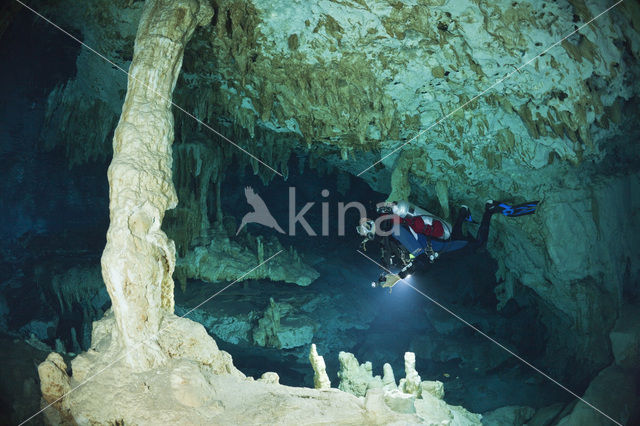 Dos Ojos Cenote