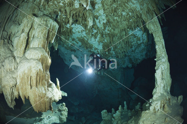 Dos Ojos Cenote