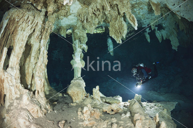 Dos Ojos Cenote