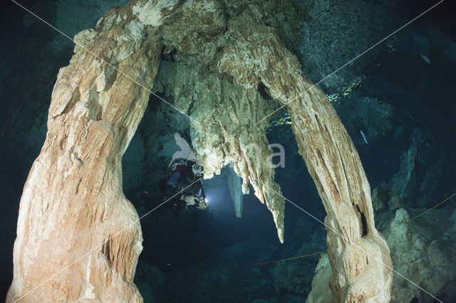 Dos Ojos Cenote