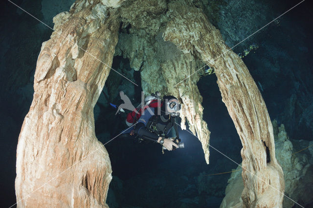 Dos Ojos Cenote