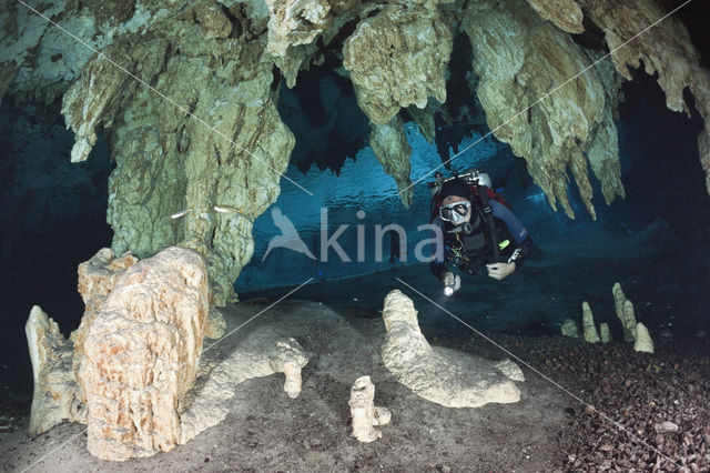 Dos Ojos Cenote