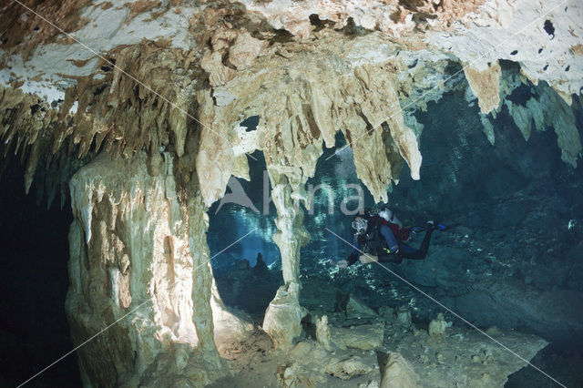 Dos Ojos Cenote