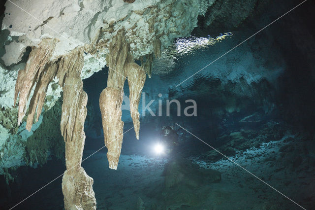 Dos Ojos Cenote