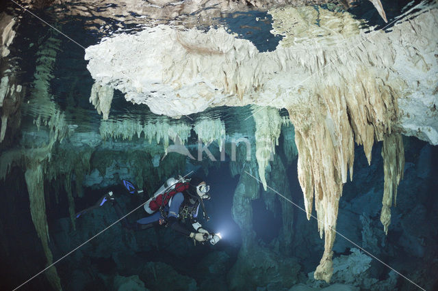 Dos Ojos Cenote