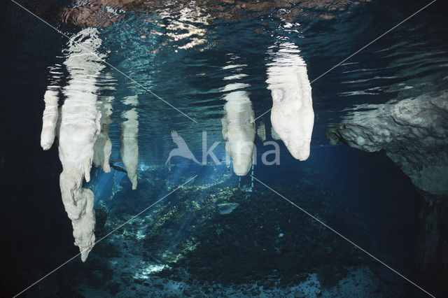 Gran Cenote