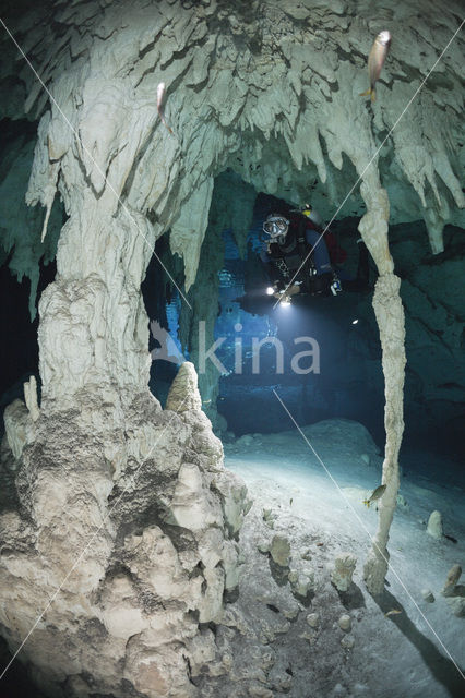 Gran Cenote