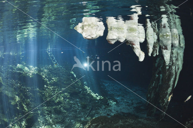 Gran Cenote