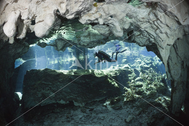Gran Cenote