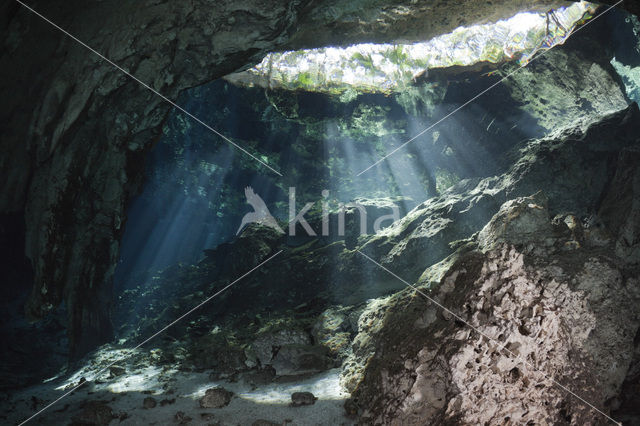 Gran Cenote