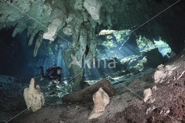 Gran Cenote