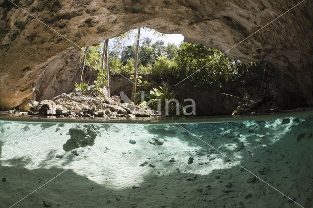 Gran Cenote