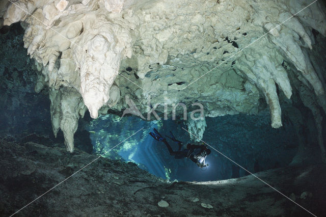 Gran Cenote