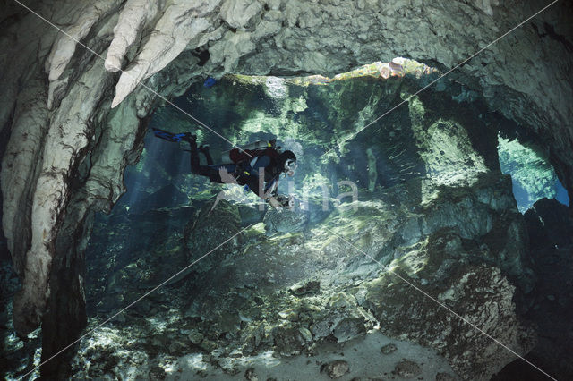 Gran Cenote