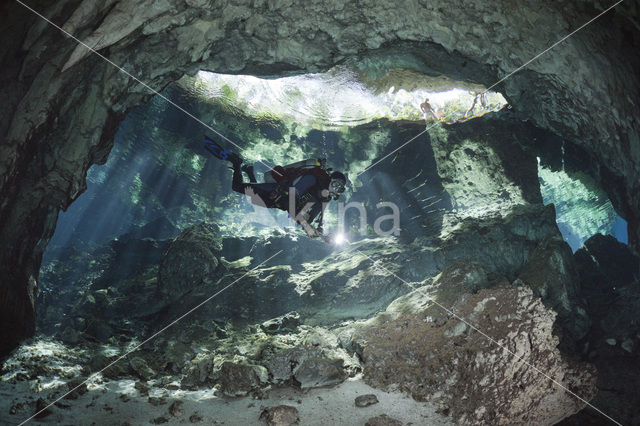 Gran Cenote