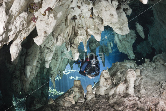 Gran Cenote