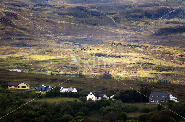 Isle of Skye