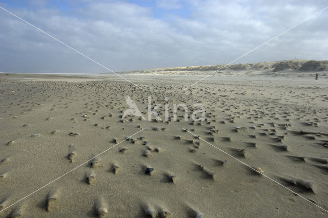 Nationaal Park Duinen van Texel