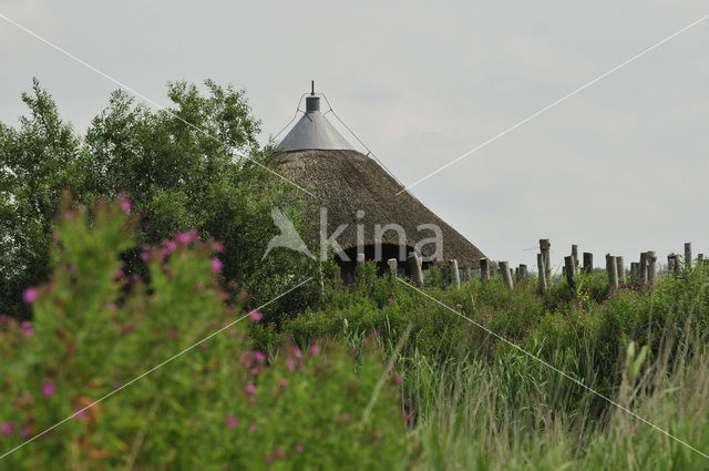 Nationaal Park Lauwersmeer