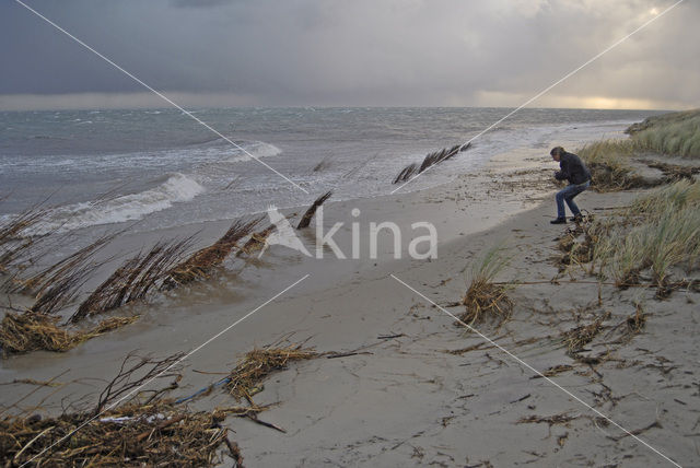 Northsea beach