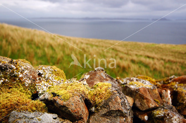 Old Man of Storr