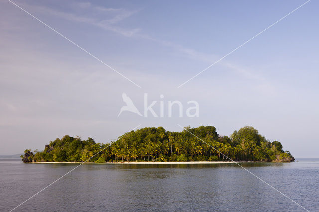 Raja Ampat Eilanden